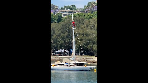 Rushcutters bay