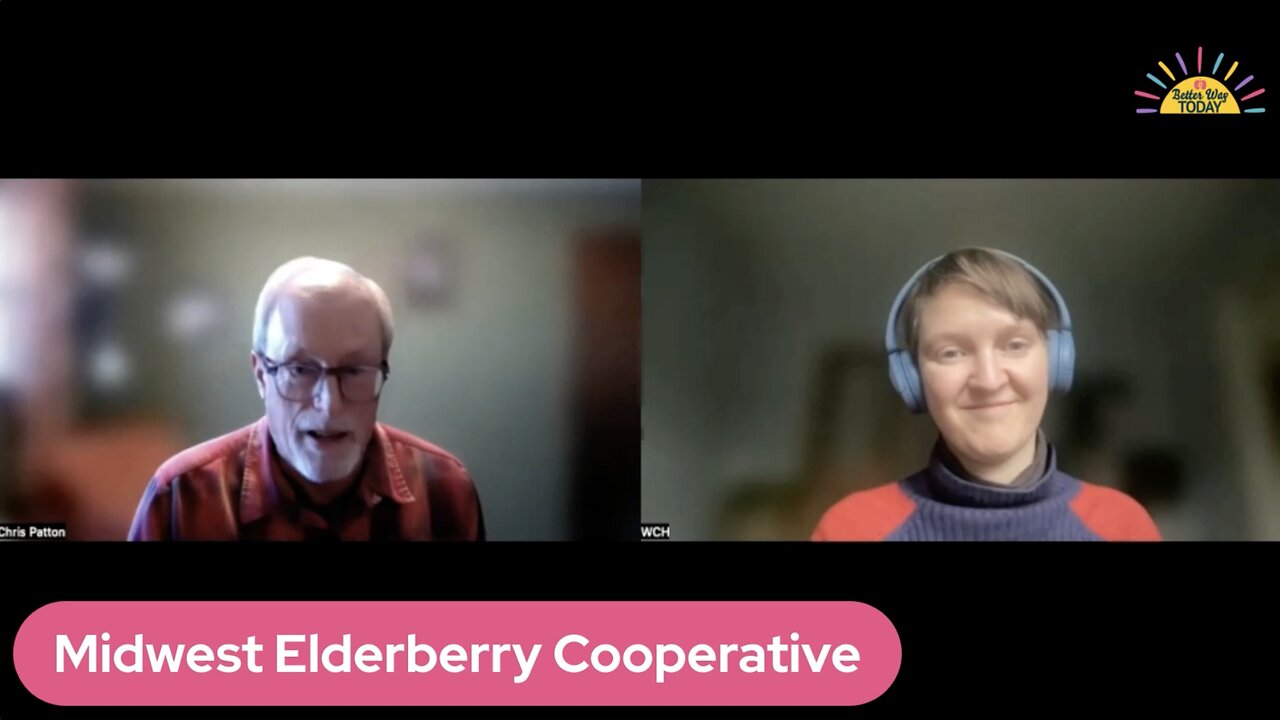 Introducing the Midwest Elderberry Cooperative