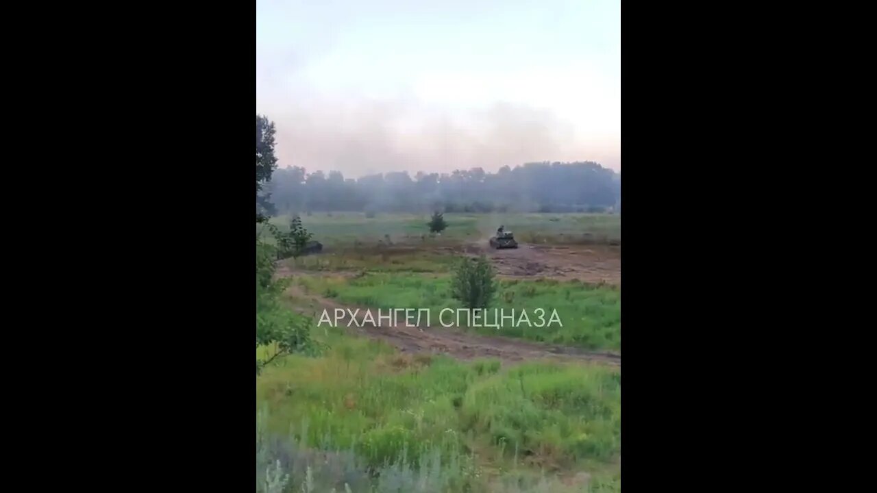 Russian artillery fires at the AFU At red Leman