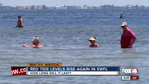 Red tide map shows high concentrations in Charlotte and Lee counties