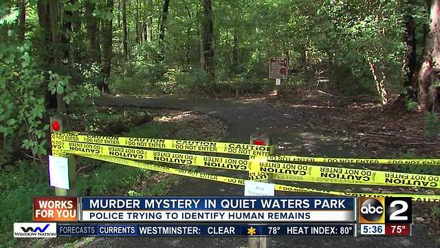 Police trying to identify human remains found in Annapolis