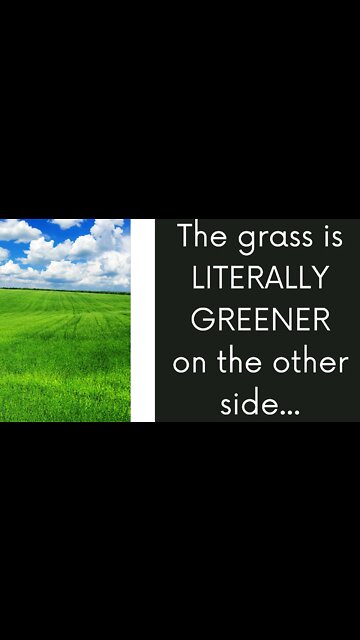 The difference is insane - why you need goats #Shorts