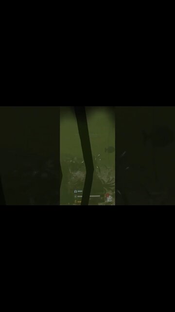 Piranha Fishing| Green Hell VR