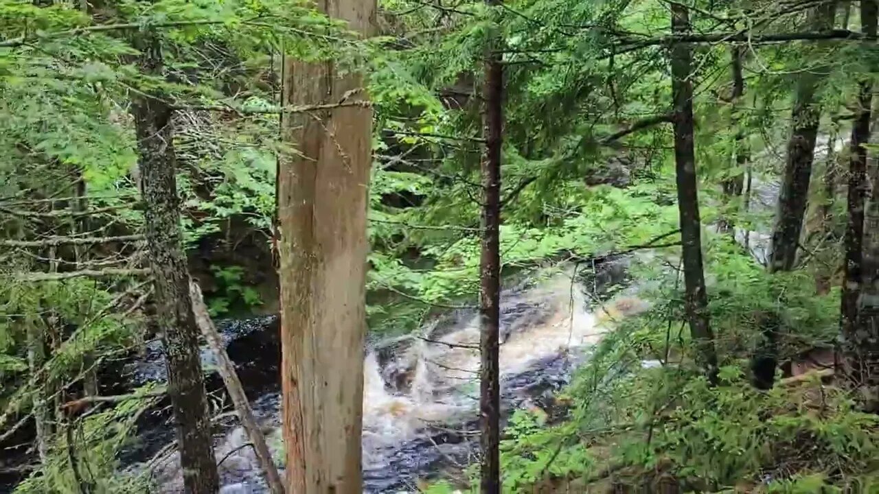 Xploring Welsford Falls