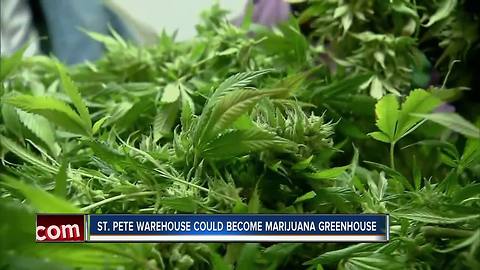 Developers hoping to grow medical marijuana in old St. Pete warehouse