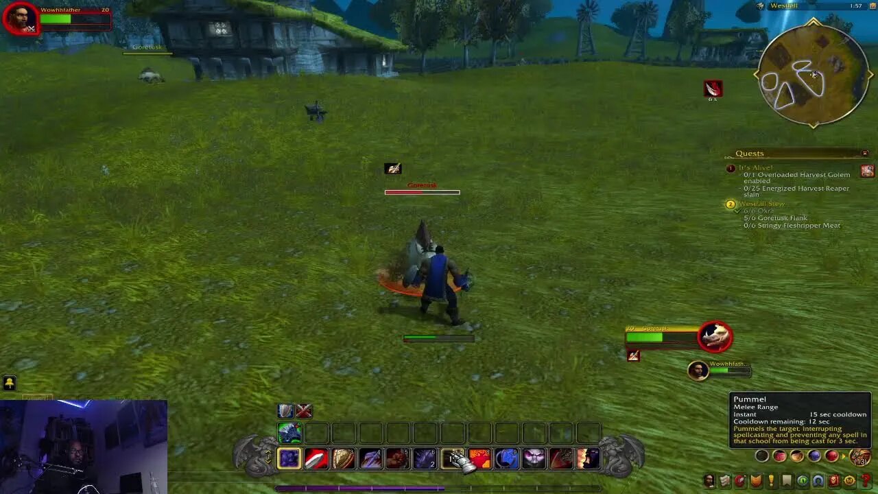 Realms of Azeroth: Adventures and Discussions in World of Warcraft