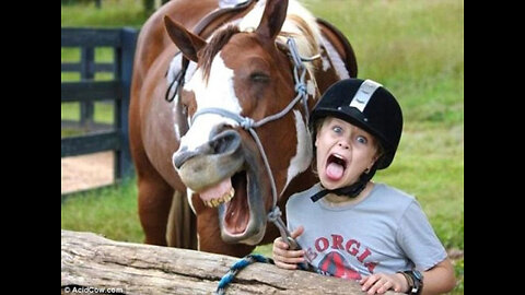 Fun pets with kids dogs and cats funny jokes part three