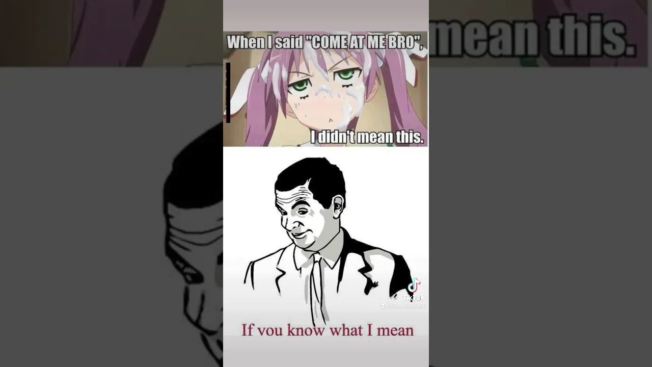 Ah well i guess :p #Vtuber #ENVtuber #GERVtuber #twitch #twitchDE #anime #lewd #meme #mrbean