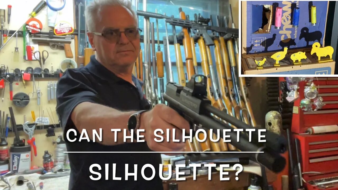 Can the Crosman Silhouette 1701P silhouette? Lets find out! RWS R-10 Match
