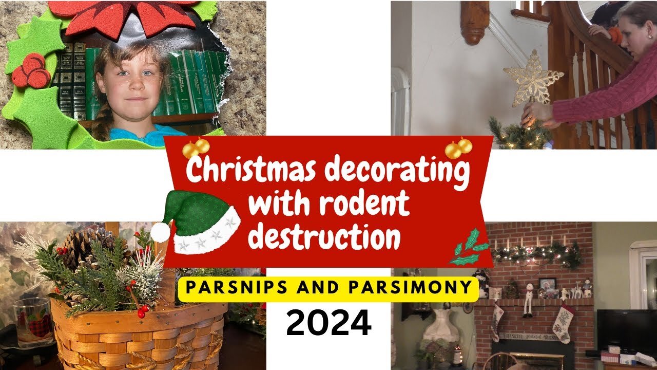 Christmas Cheer and Decorating UNTIL we found destruction :(