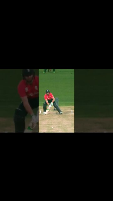 @NSJ TV @cricket.com.au #cricket @cricket.com.au