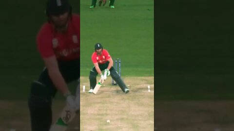 @NSJ TV @cricket.com.au #cricket @cricket.com.au