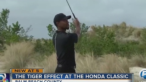 The Tiger effect at the Honda Classic