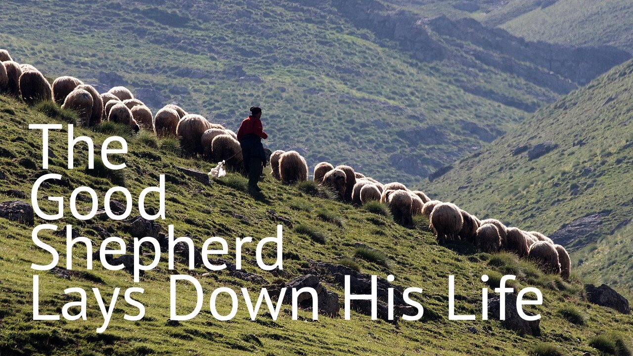 The Good Shepherd Lays Down His Life - John 10:11-18 - April 21, 2024