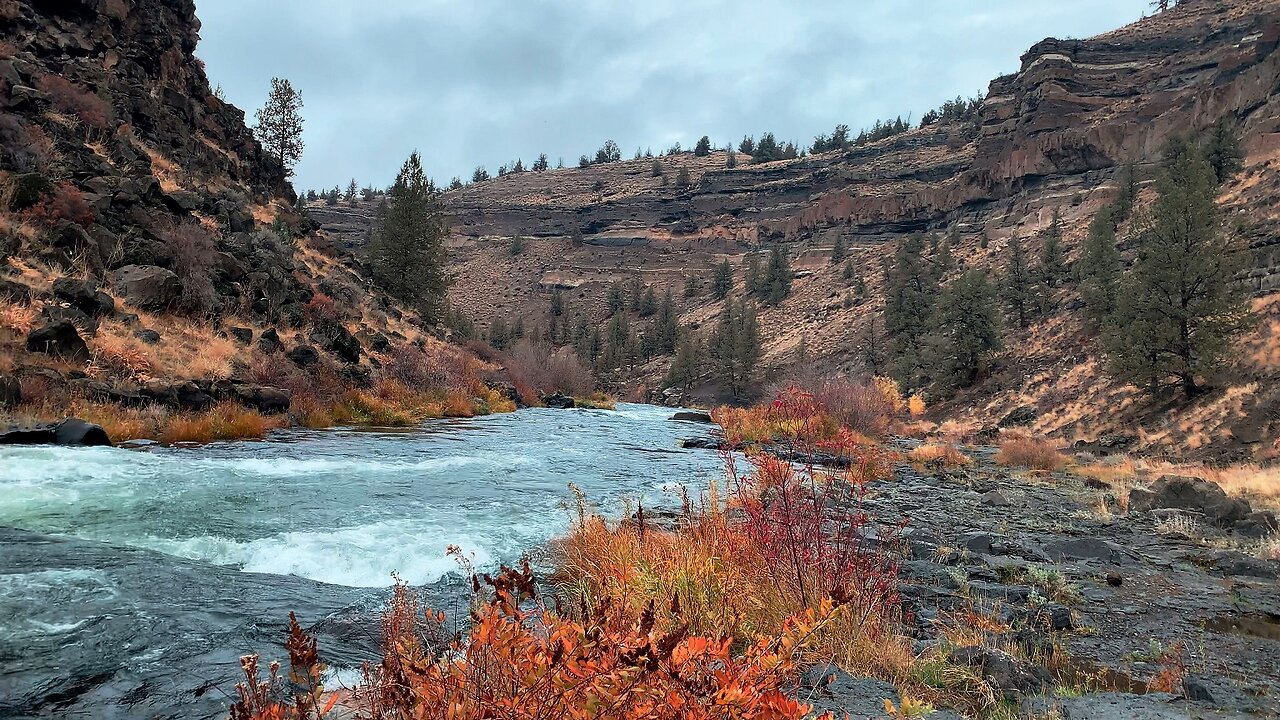 HIKING EXPLORING Deschutes Canyon River Shoreline @ Steelhead Falls! | FALL AUTUMN Central Oregon 4K