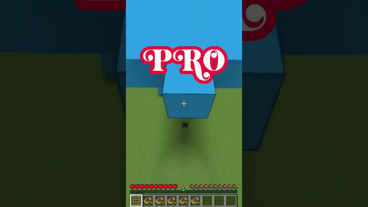 Minecraft Parkour De Noob a PRO RiusPlay shorts
