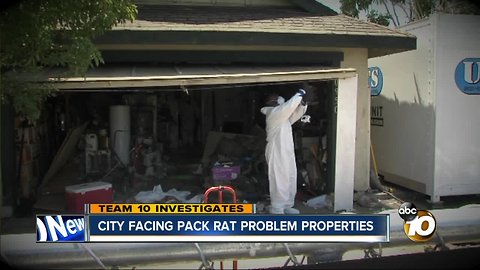 Team 10: City facing pack rat problem properties