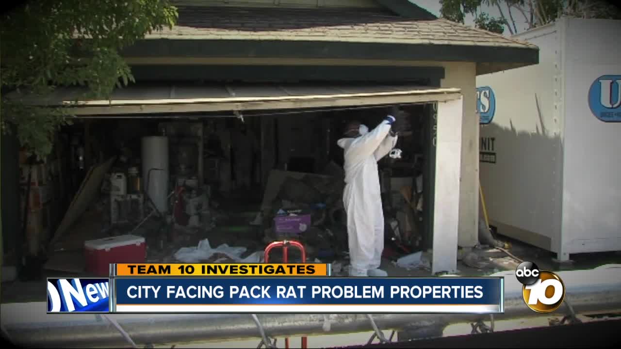Team 10: City facing pack rat problem properties