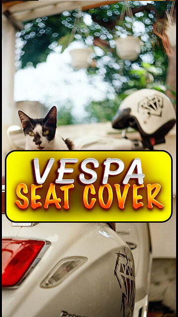 new accessory for Vespa scooter