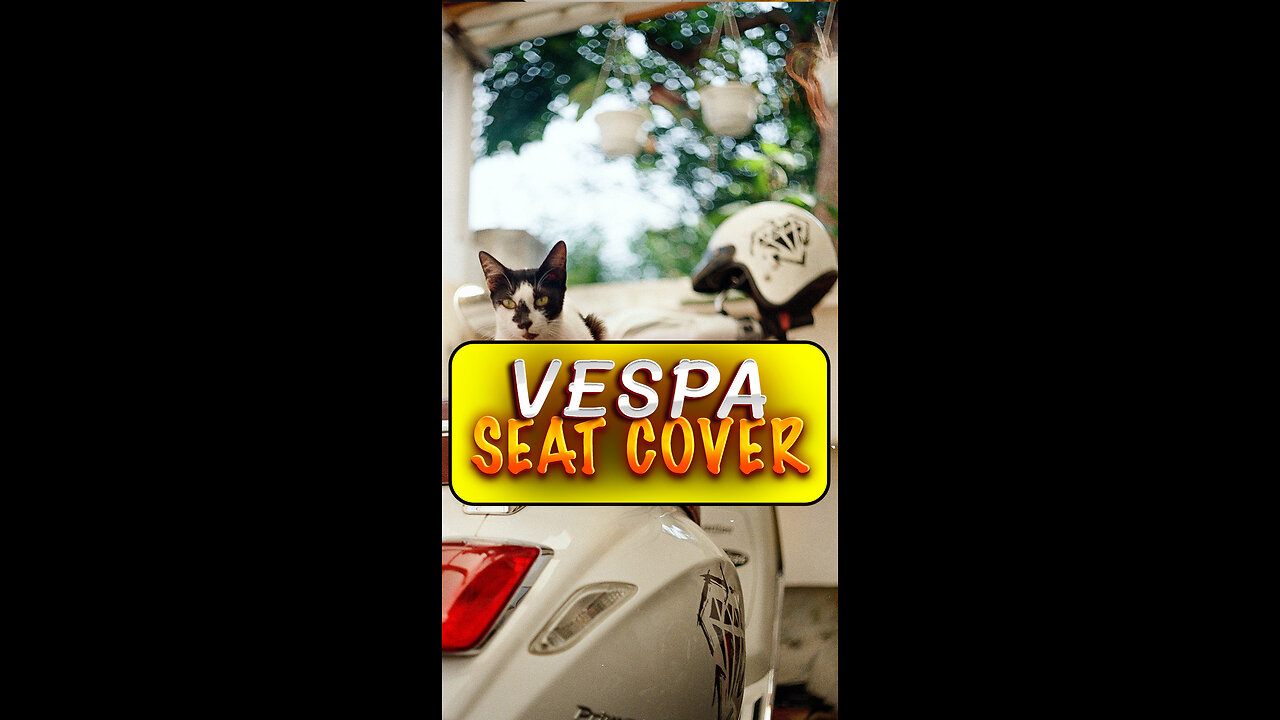 new accessory for Vespa scooter