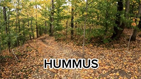HUMMUS BROMONT DOWNHILL P7