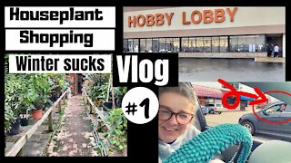 Come Houseplant Shopping With Me | House Plant Vlog #1