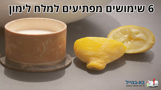 6 שימושים מפתיעים למלח לימון שכדאי להכיר