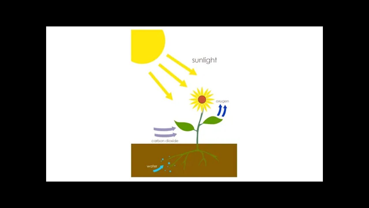 Organic Stored Solar Energy