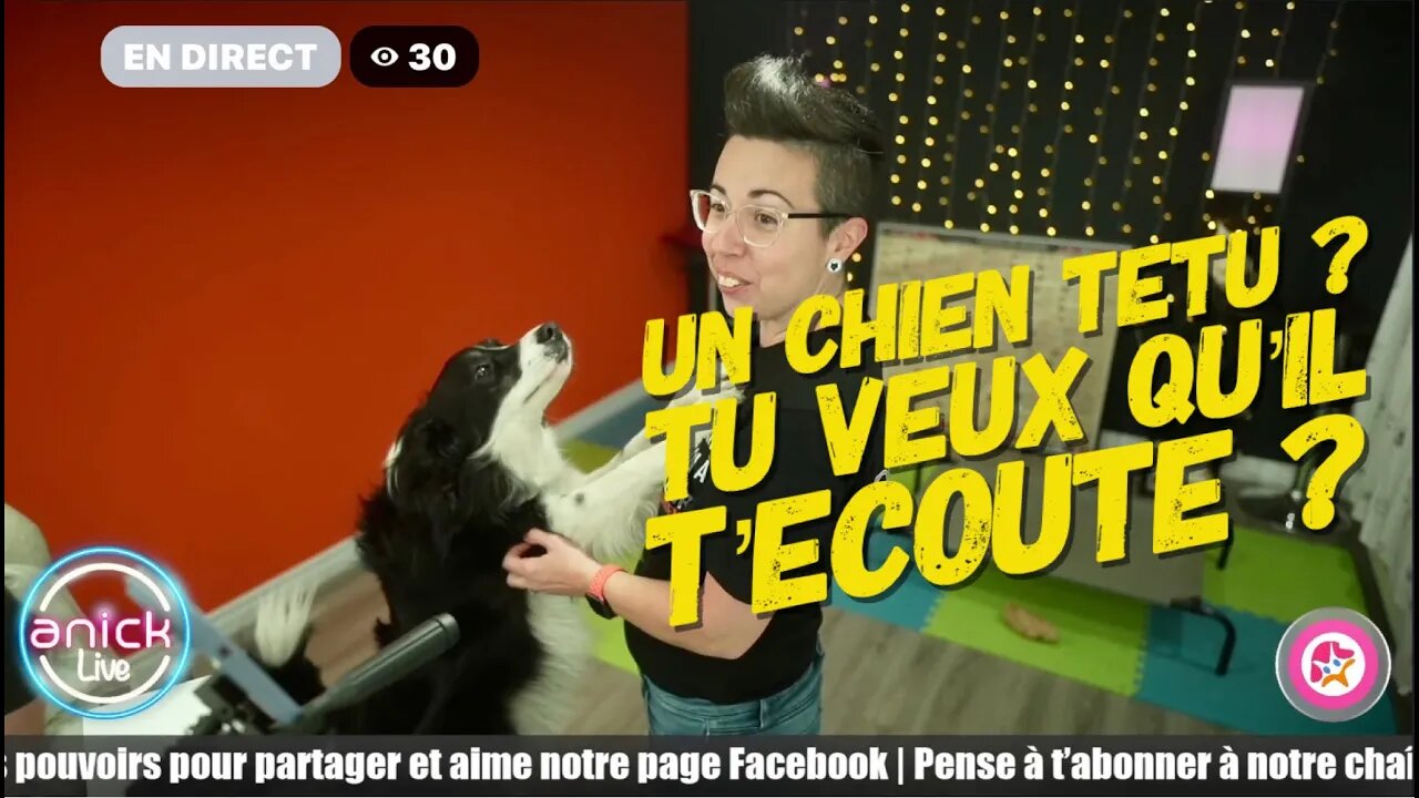 Ton chien ne t'écoute pas ? Découvre comment y remédier !