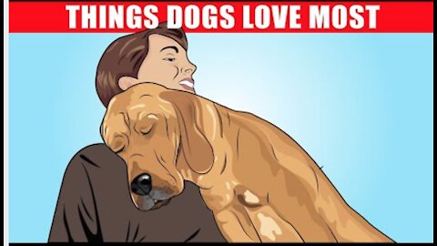 15 Things Dogs Love the Most