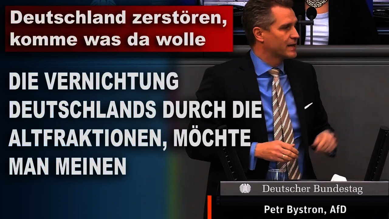 Deutschland zerstören komme was da wolle Petr Bystron AfD