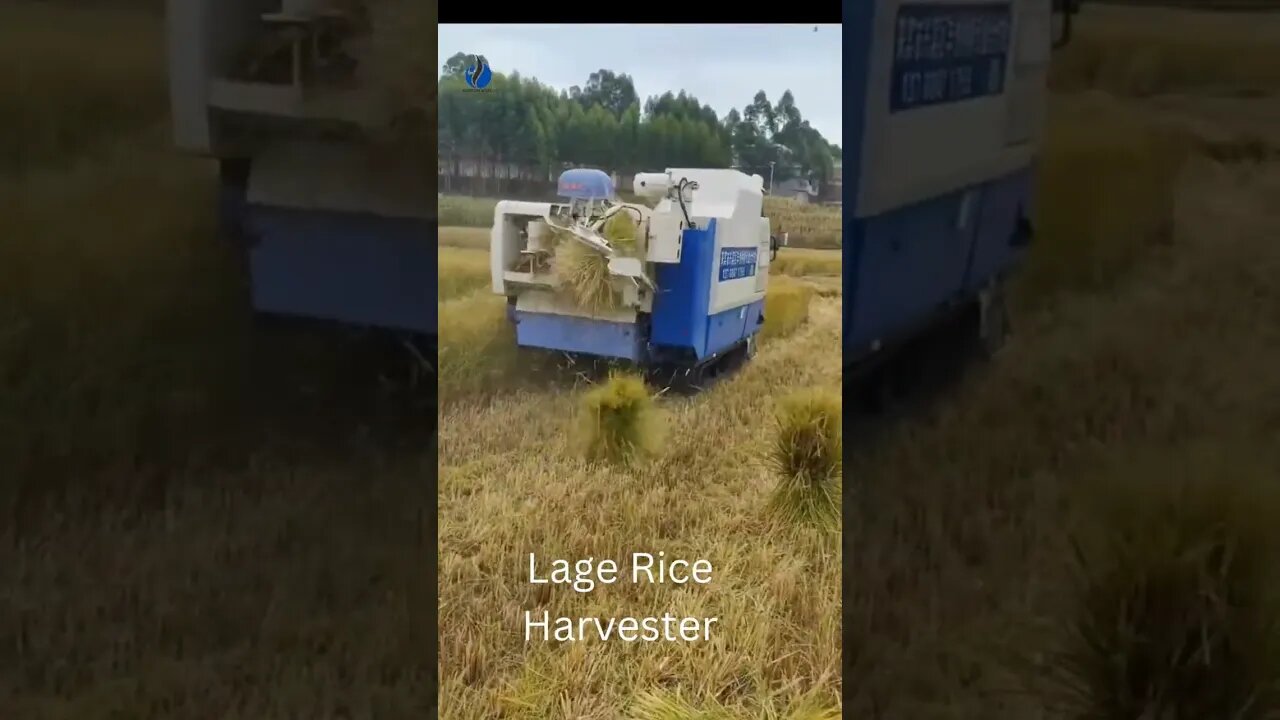 Lage Rice Harvester - Ambition World