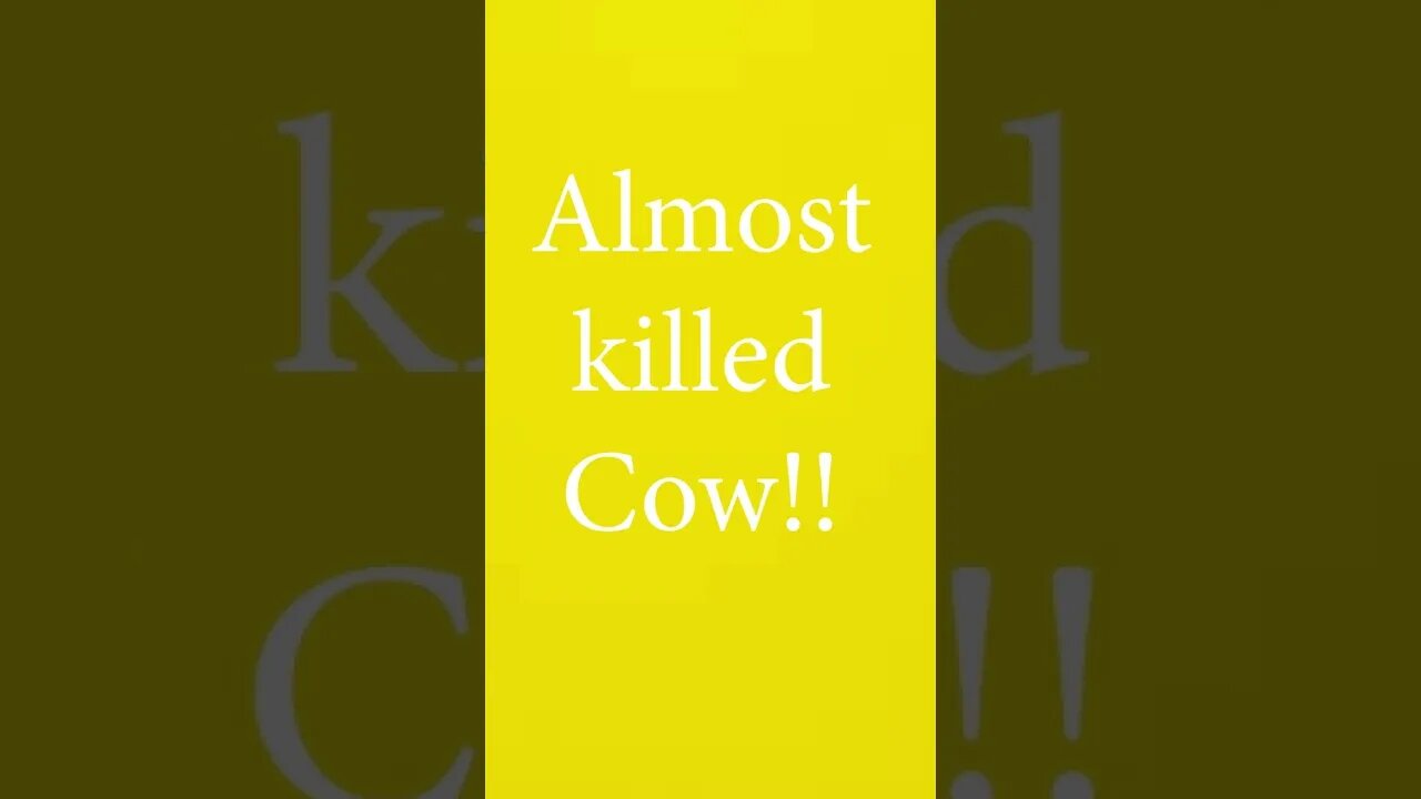 almost killed cow.. #shorts #jaswantboo #motovlog