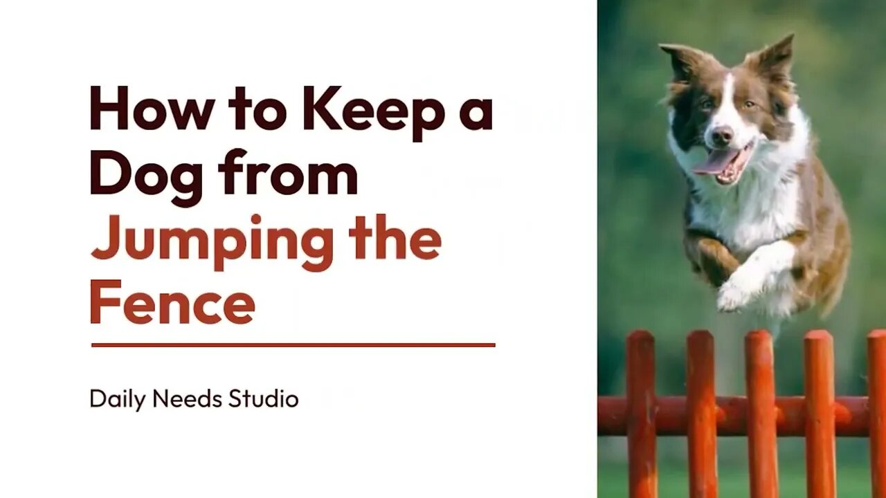 How to Keep a Dog from Jumping the Fence - Daily Needs Studio