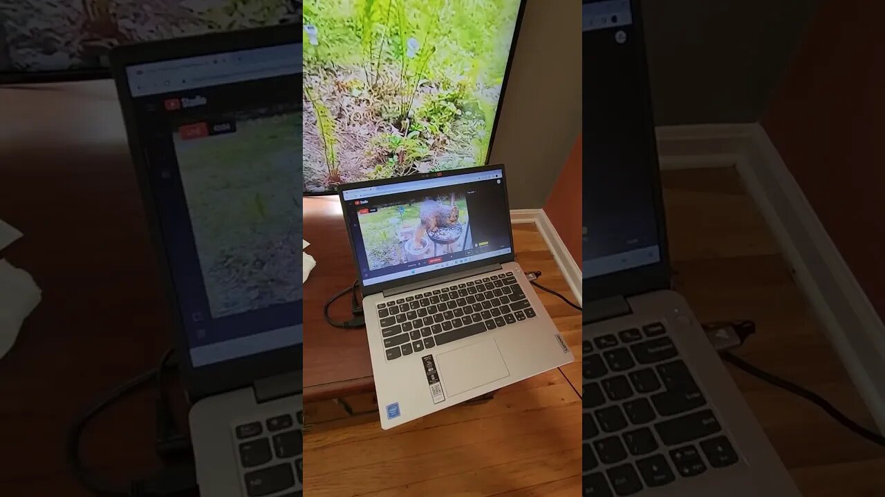 how to setup a HD live webcam