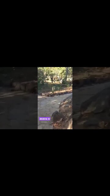 ✅ 7 ilhas Correntina Bahia, #Belezas do Nordeste🌵 🌞