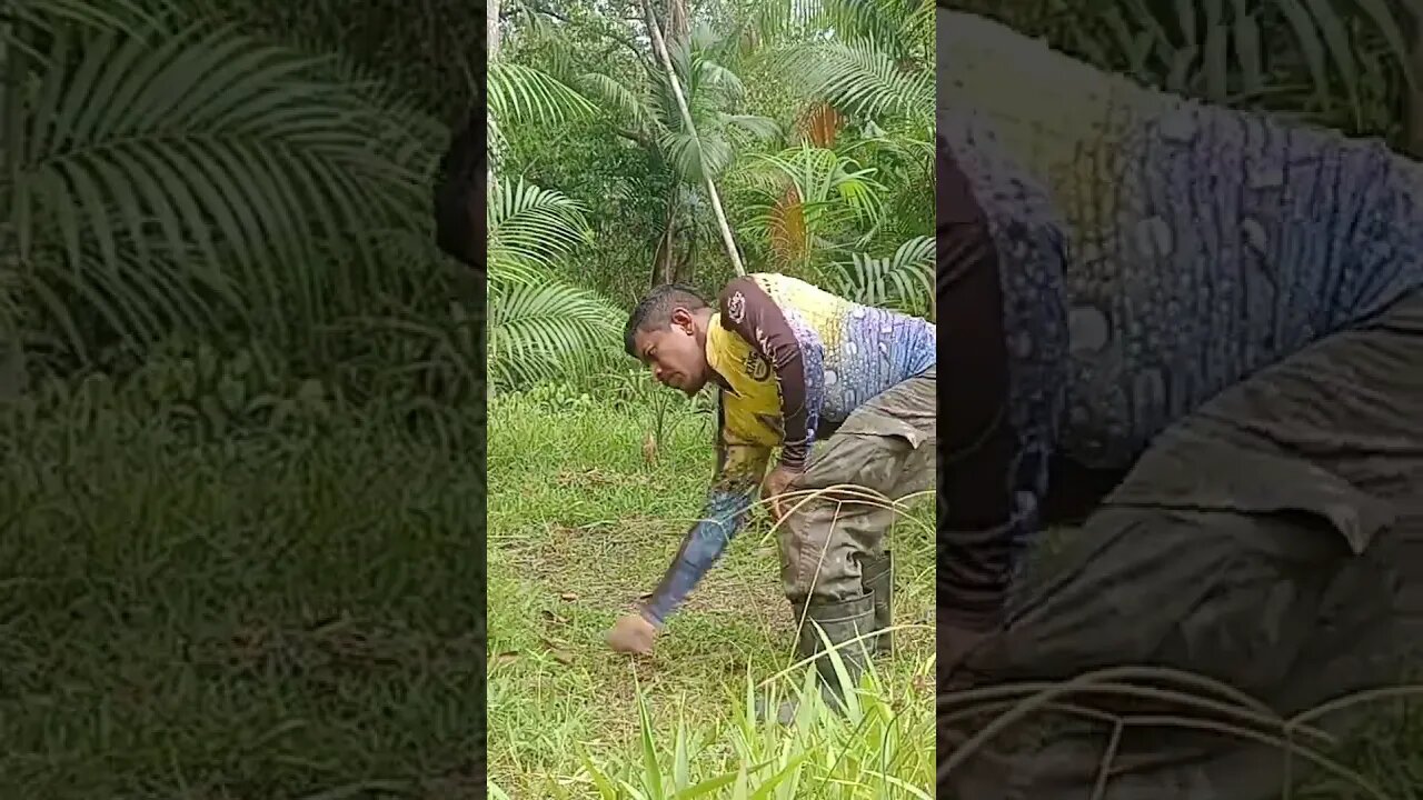 tou Ruim no tesado kkk