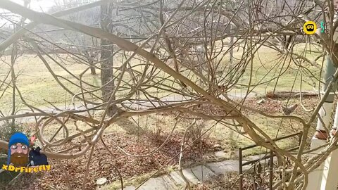 Fixing the Pig Fence : #DirtyStream Life ln Doc's Farm