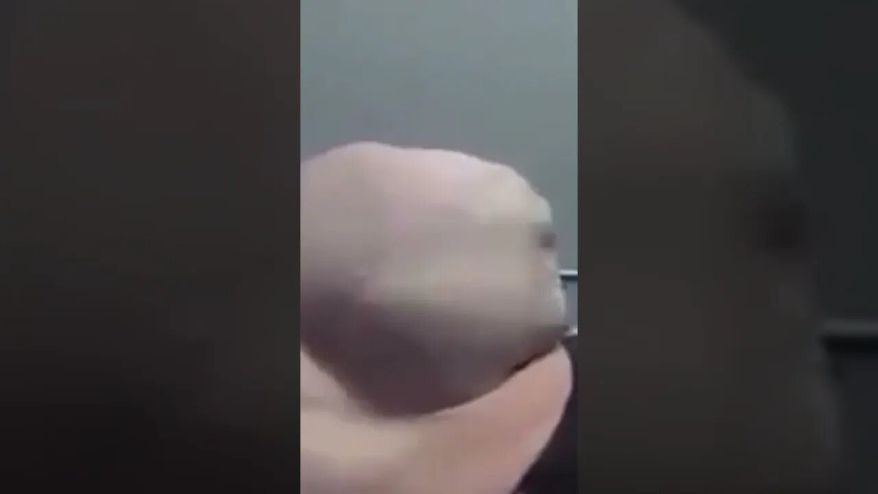 #shortsyoutube #memes #zoeira #barrigasarada #alien #cabeção #memes2023engraçados