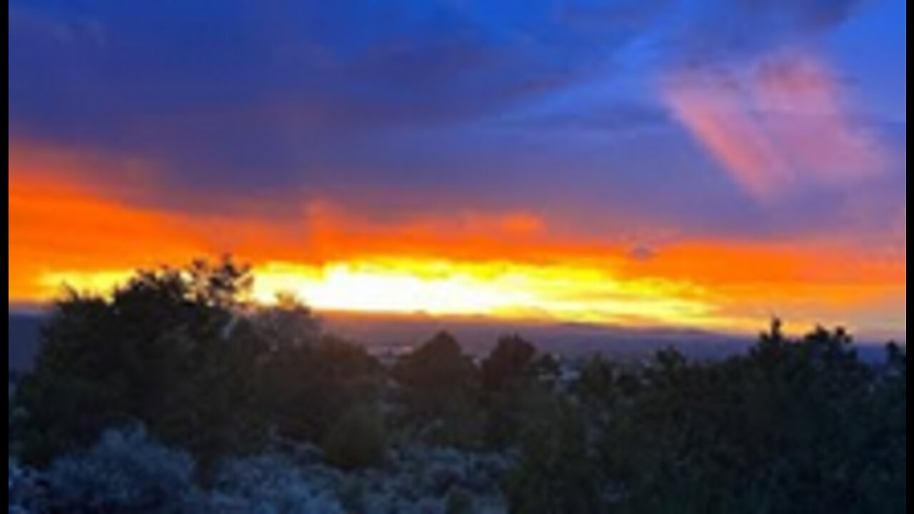 Mini live du 5 août