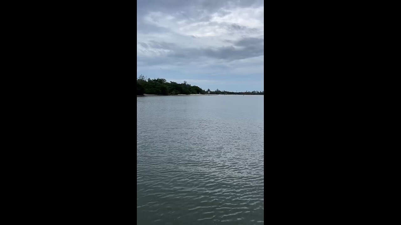 Livestream Highlights - Shelling Trip To Keewaydin Island, FL!