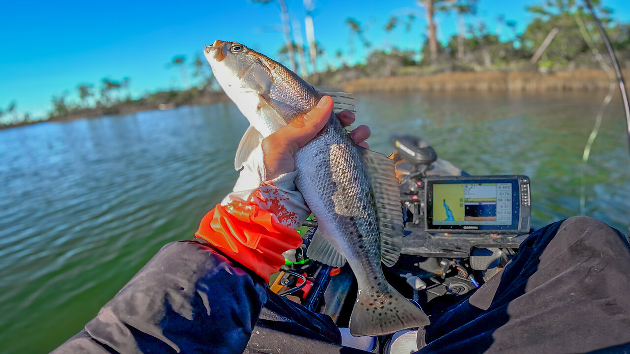 Panama City Bayou Fishing for Keeper Trout