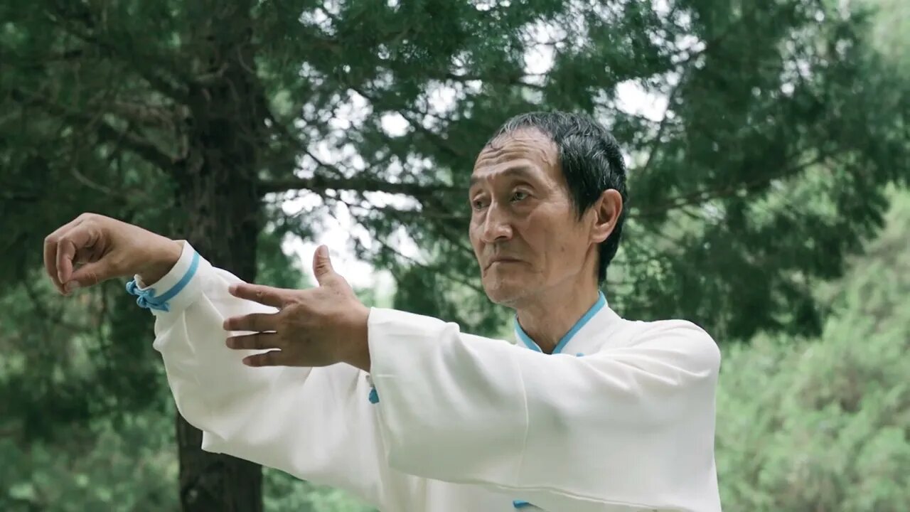 Quiet Tai chi meditation video # shorts # martial arts # relaxation # peaceful