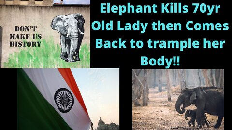 Elephant Kills 70yr Old & Comes back for her Funeral!!