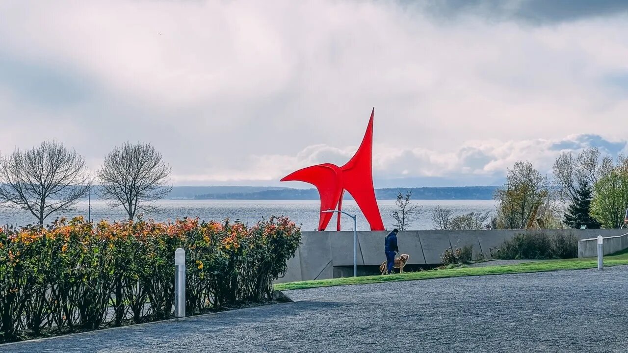 Getting Lost in Seattle (From Olympic Park Sculpture Garden)