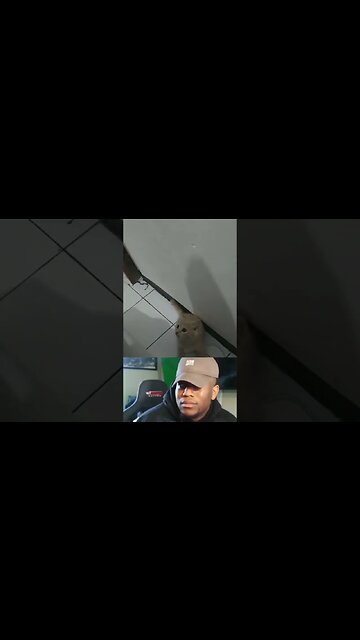 Best meme:) #shorts #memes #funny #meme #tiktok