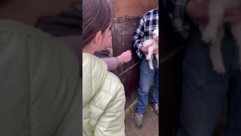 Farmer gets Emotional showing his baby Goats to Kids