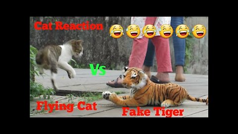 Fake Tiger Vs Cat Prank Video || TRY NOT TO LAUGH CHALLENGE 2020 || Funny Challenge videos