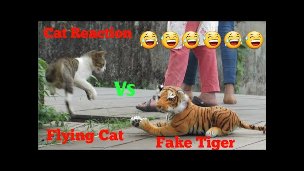 Fake Tiger Vs Cat Prank Video || TRY NOT TO LAUGH CHALLENGE 2020 || Funny Challenge videos