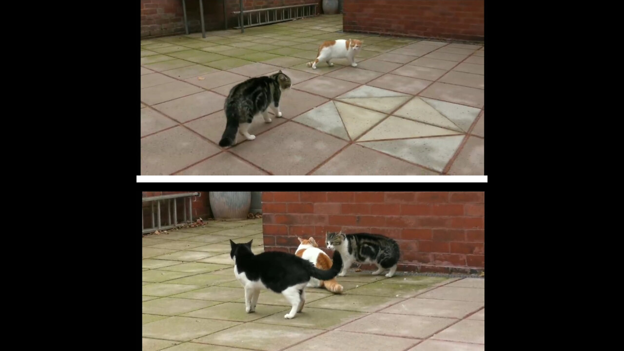 Fighting with his friend and going out of the house